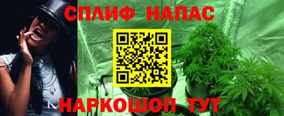 стафф Камышлов