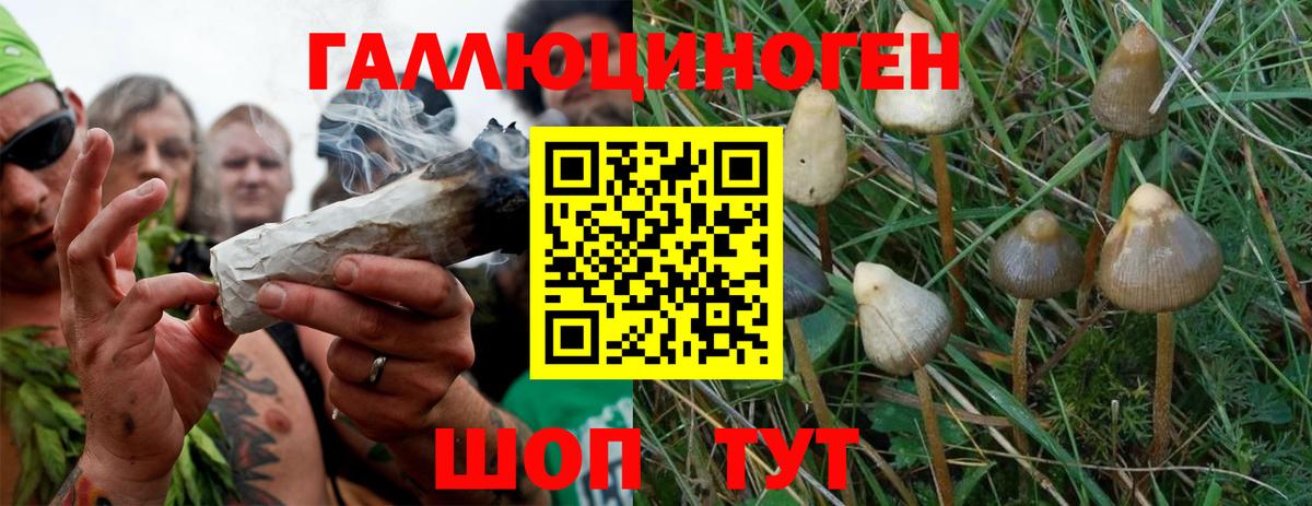 ГАШИШ  ГАШ  Меф МЯУ МЯУ   Кунгур  Вход с VPN  Бошки Шишки 