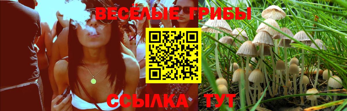Галлюциногенные грибы Cubensis  Галлюциногенные грибы мухоморы  Кунгур  Вход с VPN 
