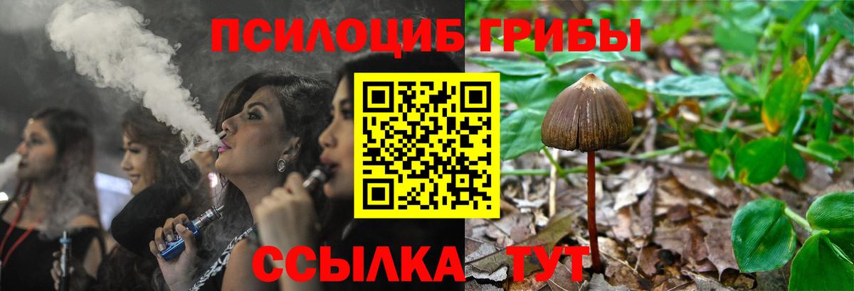 Псилоцибиновые грибы мицелий Кунгур